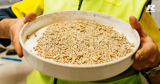 How Stockfeed Grain Pellets Are Made | Reid Stockfeeds