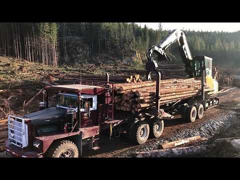 Kenworth 850 Logging Truck - Caterpillar 568 Loading