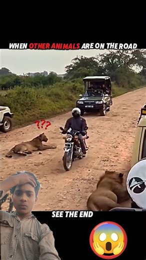 Sab Lion se Cool the… par ek Animal ne sabko hila diya! 🦁⚡