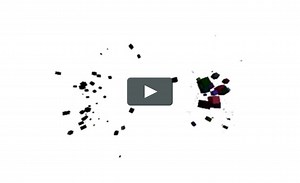 The Colour Economy: The Gap Between the Rich and the Poor