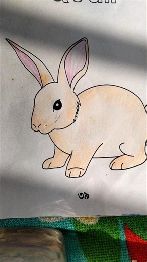 How to draw a Rabbit #drawing #short #rabbit