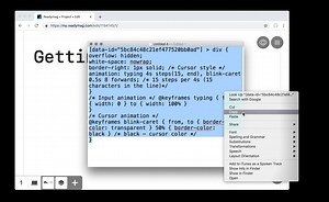 custom code: widget id: typewriter text animation