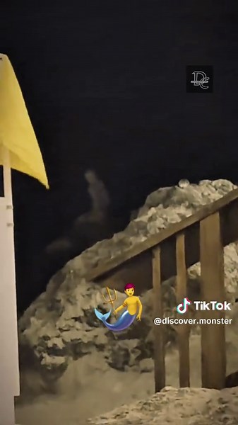 Discover the Reality of Mermaids and Sea Monsters