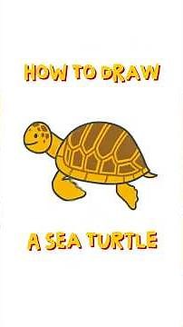 How to Draw a Sea Turtle | Watch New Lesson 🐢 #drawandsing #seaturtledrawing