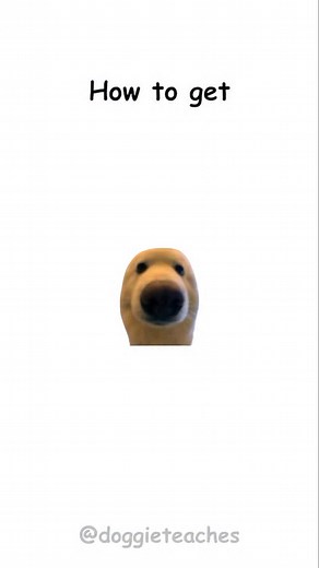 122K views · 6.5K reactions | Doggie Explains How to Get a Married...