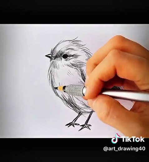 How to Draw a Realistic Bird: Easy Step-by-Step Tutorial