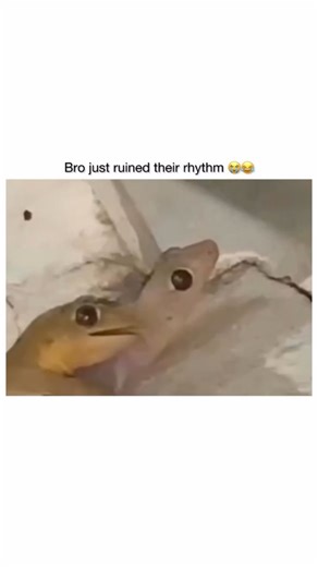 HomeOfMemez. on Instagram: "They out clapping e cheeks yo 😆🤣. #Funny #Viral #FYP #Insta #Humor #Comedy #Meme #Laugh #Relatable #Silly #Jokes #Fun #Trending #Hilarious #InstaFunny #ShareTheLaughs #LOL #ViralContent #InstaHumor #ComedyClub #reels #love #threads #trending"