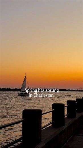The last few days have felt like Spring is on its way and it’s about time! 😂 What are you most looking forward to this spring and summer in the Lowcountry? For me, it’s long walks downtown, beach days, seeing all the beautiful flowers blooming and eating outside at restaurants 😍 #charleston #realtor #realestate #springhassprung #spring