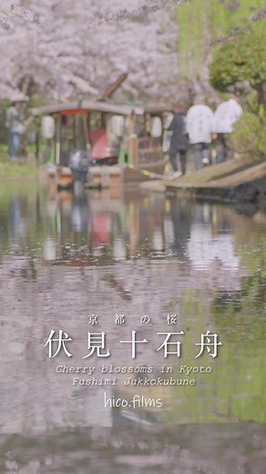 ［#京都櫻花］#伏見十石舟 #櫻吹雪 #花筏 #京都觀光 #京都賞櫻 #sakura #Kyoto #桜 | Hico.films 日本隨拍