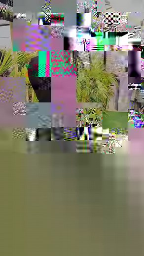 Outdoor photoshoots #meghphotographer | Megh Borsha-1