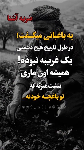 ‎مَتـن|تـِڪست|دلنـوشته‎ on Instagram‎: "فالویادت نره👉❤️ . . . .@text_clipofic .@text_clipofic . . #زندگی#مرگ#حرف_دل #آرزو #اکسپلور_اومدی_فالوکن🖤☝️"‎