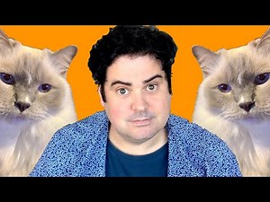 5.5 Funny Jokes about Cats