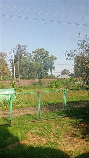 Г121погляд з вікнаЩоденна думка458a view from the windowDaily thought #agro #nature #love #flowers