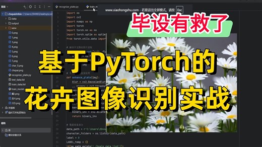【花卉图像识别】研一、研二必学！毕设有救了！手把手带你从零开始基于Pytorch框架的花卉图像识别模型实战，原理详解+项目实战，看完就能跑通，研究生|毕设|论文