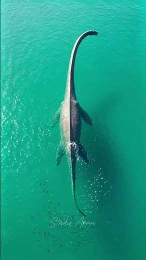 "SHASTASAURUS: The Largest Sea Reptile in History | Cinematic AI Render"