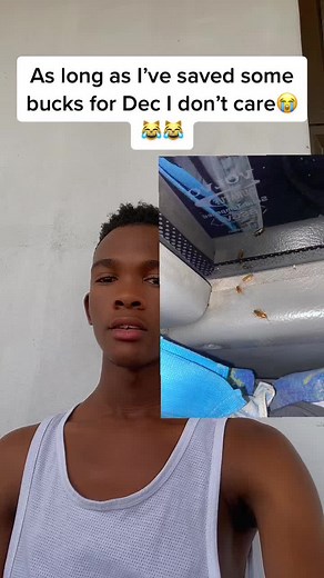 Avoiding the Worst: APM Bus Service Review