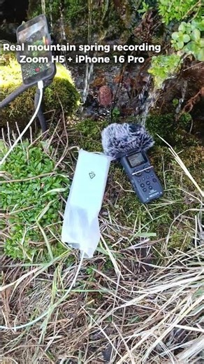 How I Record Real Mountain Water Sounds | Field Recording Setup