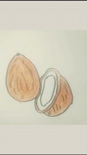 How to Draw an A Coconut drawing | drawing for you tube shorts