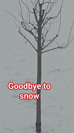 Every time I see snow I look forward to it being Summer