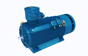 [Hot Item] 160kw CCS Recognized Marine Explosion-Proof Induction Motor (ATEX certified)