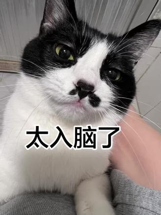 ááà，OMG你吓到我啦～ 已经循环好多遍啦 啊哈哈哈哈哈#papi酱 #OMG你吓到我啦 #papi酱新单曲 哈哈哈😂