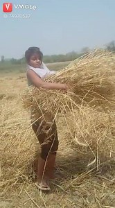 18K views · 17 reactions | so funny | VMate Fun | Facebook