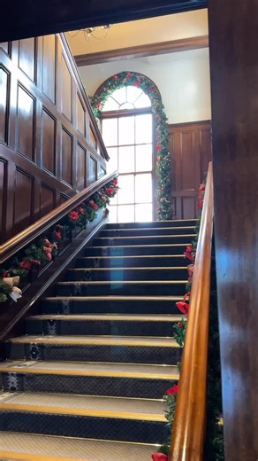 16 reactions | It’s starting to feel a lot like Christmas! 虜歷 If you’ve got a Christmas event that could benefit from the joy and energy of Swing dancers, get in touch! Here the team lightened up the @anglicaresydney Christmas markets last year! #christmas #events #eventmanagement #entertainment #swingdance #lindyhop #rocknroll | The Jitterbug Club | Facebook