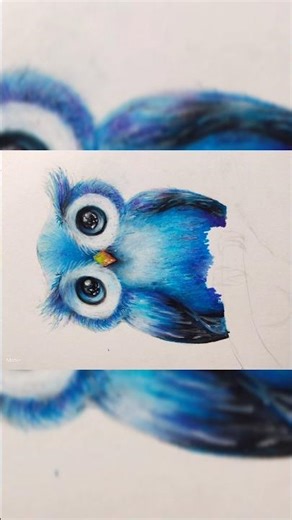 Oil Pestel Colour Realistic Owl Drawing 🦉💙 #art #oilpastel #shorts #viral