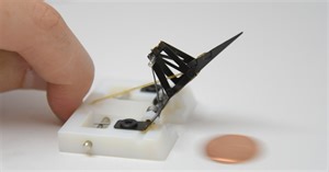 Tiny punching "robot" mimics the mechanism of the mantis shrimp