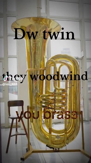 Exploring Woodwind Instruments in Marching Bands