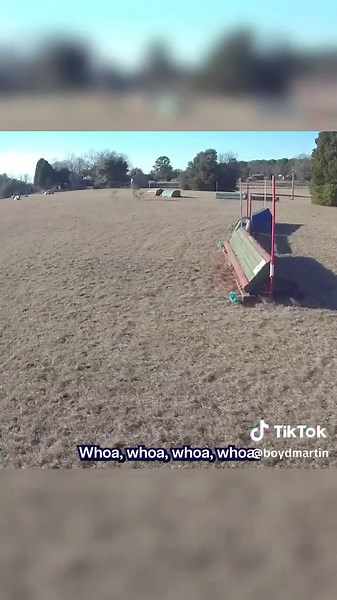 Piloting Remi The OTTB Through His First Beginner Novice Event