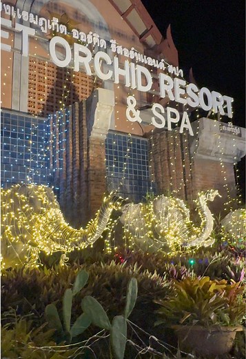 Discover Phuket Orchid Resort & SPA