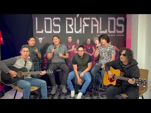 Los Bufalos - Volveré Acústico