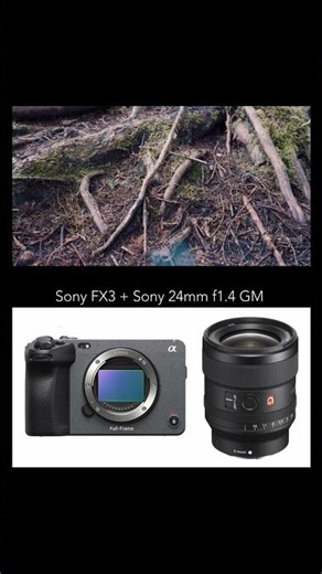 Camera & lens breakdown for the eternal fall. #sonyalpha #sonyfx3 #sonyfx6 #sonycine