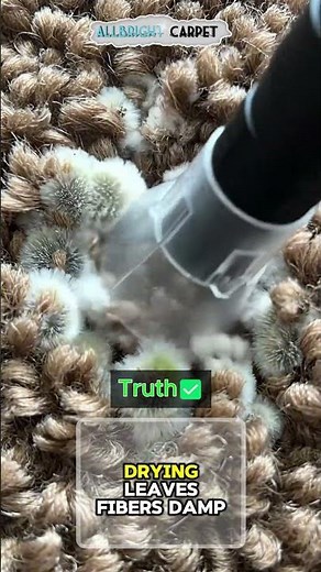 😱 Your Carpet Might Still Be Wet… And Growing Mold!