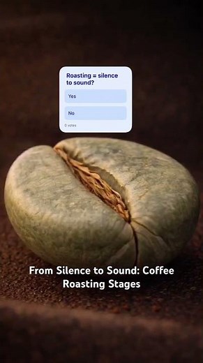 From Silence to Sound: Coffee Roasting Stages