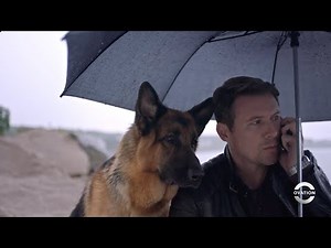 Hudson & Rex | Poisoned | Season 2