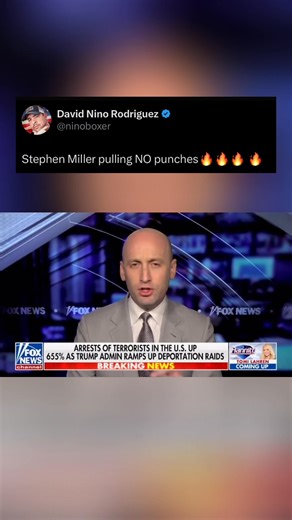 4.4K views · 256 reactions | Stephen Miller always coming with FACTS &  | David 'Nino' Rodriguez | Facebook
