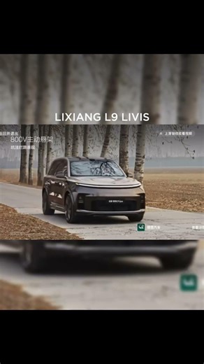 Сравнили подвеску LiXiang L9 и LiXiang L9 Livis в реальных условиях