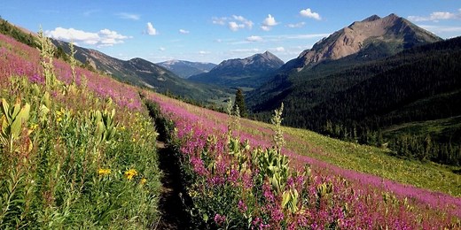 Crested Butte Mountain Biking: 7 Bucket List Trails