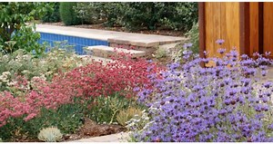 Annual Spring Fair with flower and plant exhibition is coming to San Diego