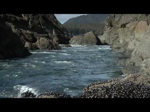 Hot Springs Cove, Tofino: The Experience - British Columbia, Canada