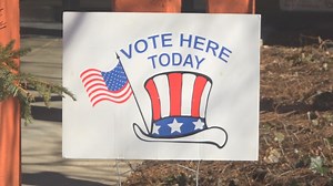 Poll watching and poll challenging explained