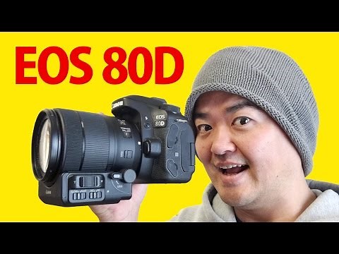 Canon EOS 80D 徹底レビュー！最新デジタル一眼レフの動画性能を中心に深掘り検証！提供：キヤノン株式会社
