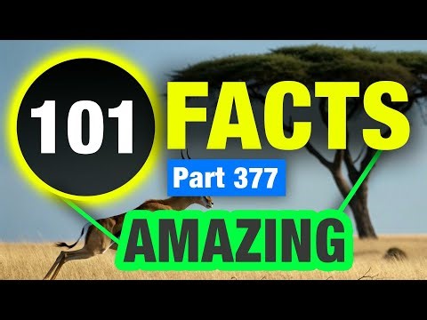 100 Amazing Facts You Didn’t Know