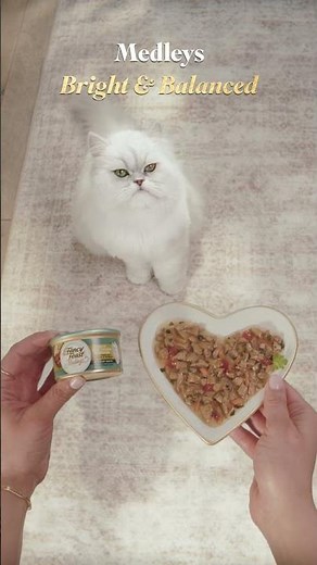 3 Types of #WetCatFood Your Cat Will Love #FancyFeast #Shorts