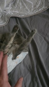 Diaper Wars Part 2 | Quality of Life Rehab & Foster, Inc.