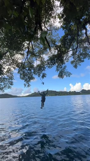 Paddling Palau on Instagram: "Busy days in the office. #workflow #paddlingpalau #palau #adventure #pacificocean #explore #snorkel #travel #kayak #jellyfish #paradise #swingswing video by: Cobi Jones"