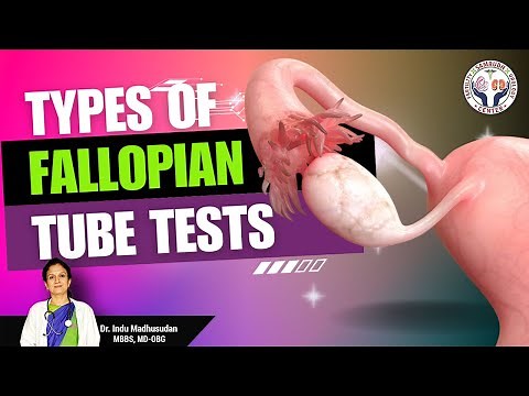 Fallopian Tubes: Understanding the Essential Tube Tests