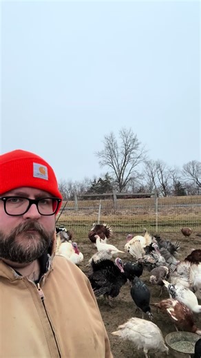 Hilarious Dad Jokes for Turkeys: Farm Life Fun